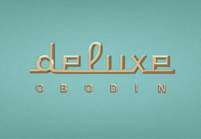 deluxe-main copy.jpg